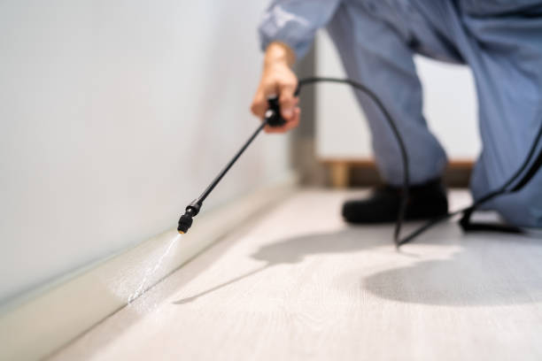 Licensed Termite Control service in Nome, AK - Show Me Pest Control