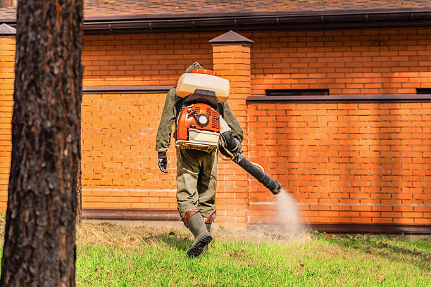 Top rated local Ant Control specialists in Nome, AK
